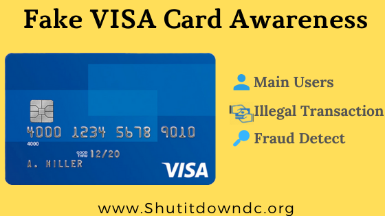 fake generator visa